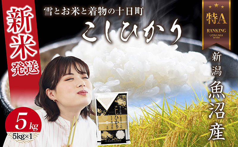 【新米発送】 令和7年産 新潟県 魚沼産 コシヒカリ お米 5kg 精米済み（お米の美味しい炊き方ガイド付き） こめ 白米 新米 こしひかり 食品 人気 おすすめ 送料無料 魚沼 十日町 十日町市 新潟県産 産直