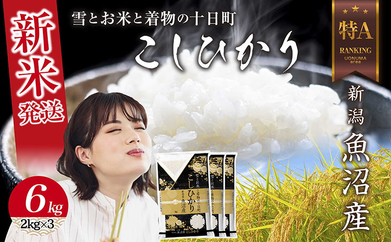 【新潟県十日町市】令和7年産 新潟県 魚沼産 コシヒカリ お米 6kg  (2kg×3袋) 精米済み お米 こめ 白米 新米 こしひかり 送料無料 魚沼 十日町