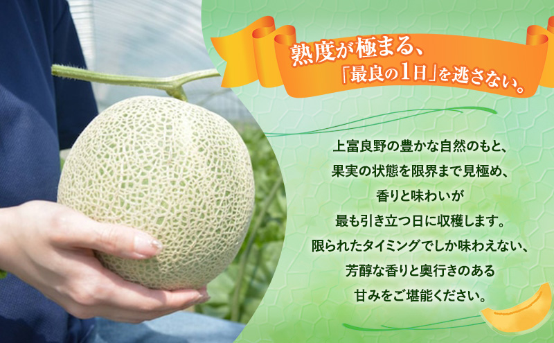 令和8年産】富良野 高糖度 赤肉メロン 1玉 約1.8kg ～ 2.3kg うっちー