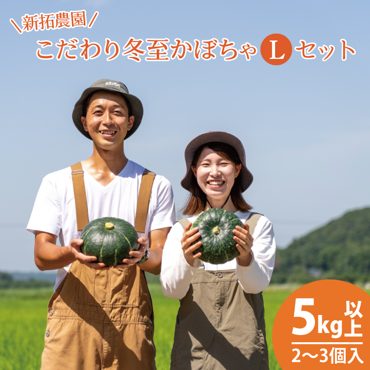 【数量限定】新拓農園のこだわり冬至かぼちゃLセット 【野菜 やさい カボチャ ほくほく 甘い おいしい パンプキン 国産 産地直送 期間限定 季節限定 茨城県 鹿嶋市】（KDC-1）