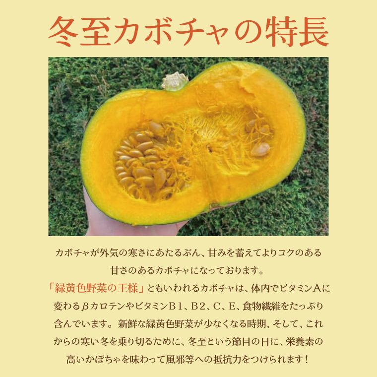 【数量限定】新拓農園のこだわり冬至かぼちゃSセット 【野菜 やさい カボチャ 1万円以内 10000円以内 ほくほく 甘い おいしい パンプキン 国産 産地直送 期間限定 季節限定 茨城県 鹿嶋市】（KDC-3）