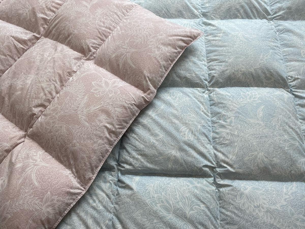 yꌧߍ]sz^Z̉HтӂƂ@VO@yCW16Wz