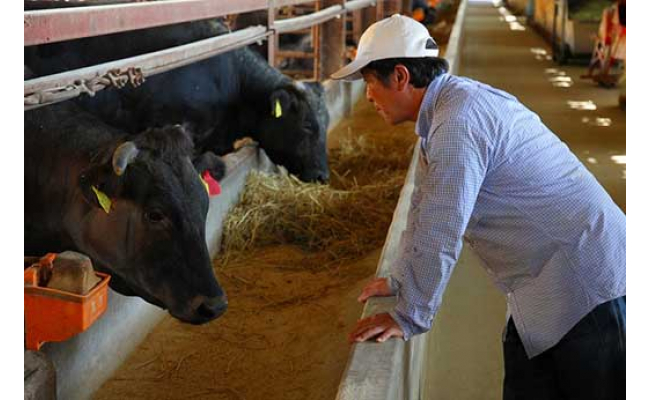 【４等級以上の未経産牝牛限定】近江牛ロース焼肉 【800g】【AF08W】