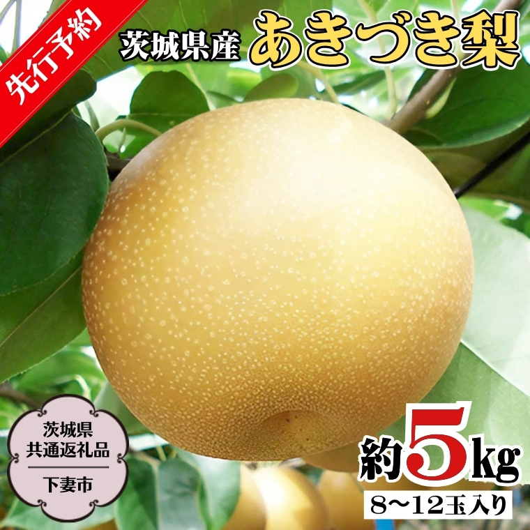 粛粲寶　額装【果物・フルーツ】(新潟県) 粛粲寶 額装【果物・フルーツ】(新潟県) - メルカリ