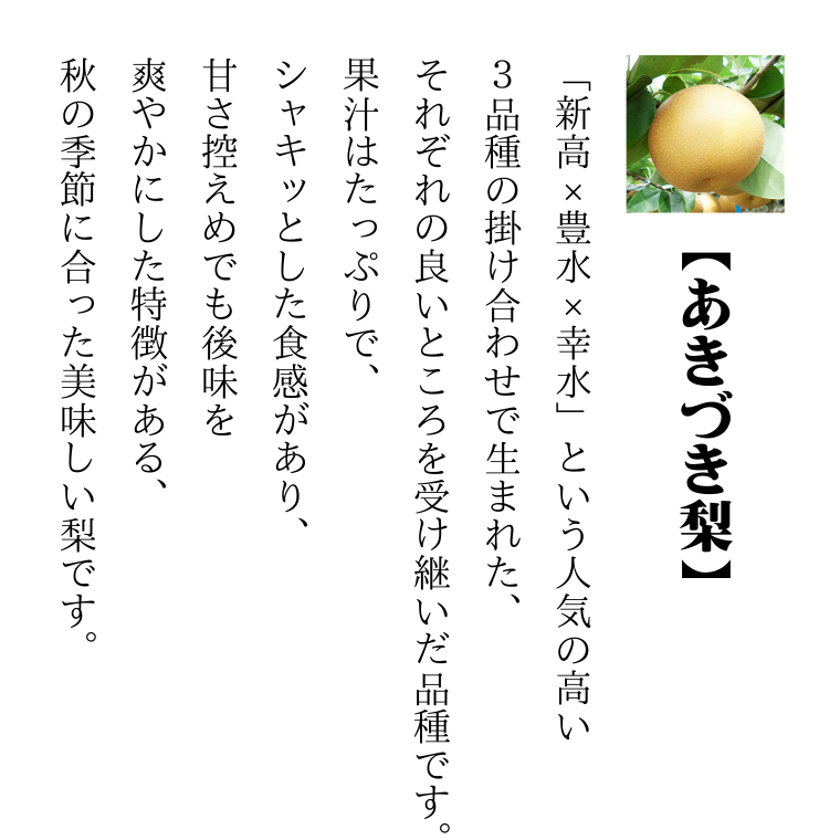 先行予約 】 茨城県産 あきづき 梨 5kg 8玉～12玉入り (茨城県