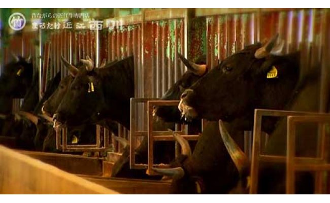 【年内発送】【訳あり】近江牛切落し　【360ｇ×1パック】【N012W】