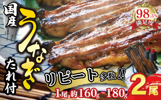 【年内発送】【一度食べたらやみつき！リピート多数 】うなぎ蒲焼２尾セット【D009W】