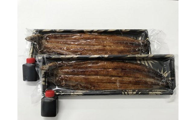 【年内発送】【一度食べたらやみつき！リピート多数 】うなぎ蒲焼２尾セット【D009W】