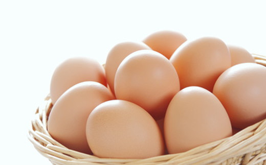 yꌧߍ]sz藑Ƃ̃Zbgy60{2{zyK043Wz