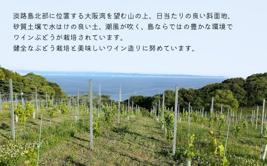 島薫るBlanc -デラウエア-　　[白ワイン]