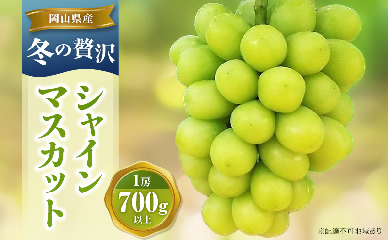 【2025年先行予約】 ぶどう 冬の贅沢 