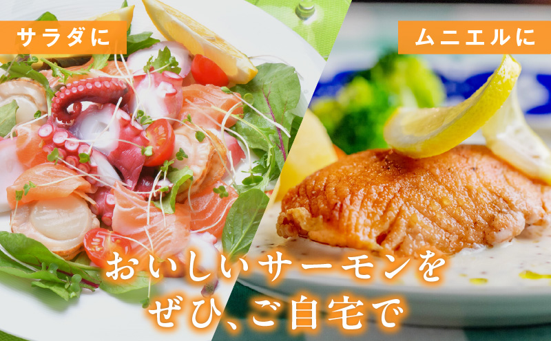 大阪府泉佐野市のふるさと納税 【期間限定】お刺身用 サーモン 1kg ブロック 小分け 約250g×4P ポーション 柵 訳あり サイズ不揃い kgp0048