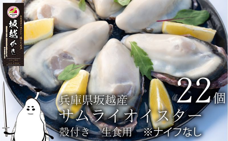 牡蠣 生食 坂越かき 殻付き22個[ナイフなし] サムライオイスター かき 生牡蠣 兵庫県 赤穂市 魚貝類