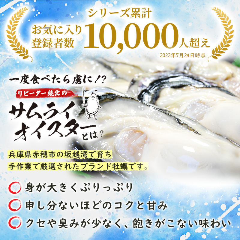 兵庫県赤穂市のふるさと納税 牡蠣 生食 坂越かき 殻付き33個【ナイフなし】サムライオイスター かき 生牡蠣 兵庫県 赤穂市 魚貝類