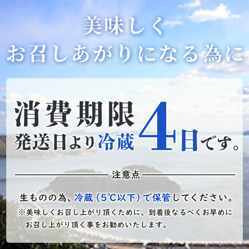兵庫県赤穂市のふるさと納税 牡蠣 生食 坂越かき 殻付き33個【ナイフなし】サムライオイスター かき 生牡蠣 兵庫県 赤穂市 魚貝類