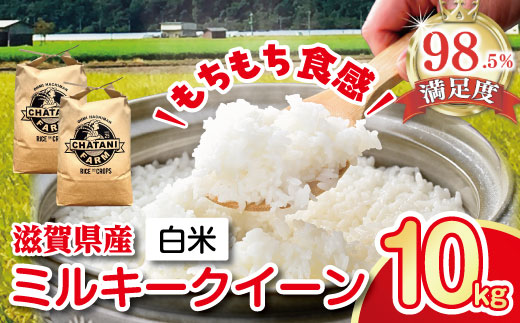 �y���ꌧ�ߍ]�����s�z�y�V�āz�y7�N�Y�z�ߍ]�ā@�~���L�[�N�C�[�� ���āy10kg�i5kg×2�܁j�z�yV010W�z