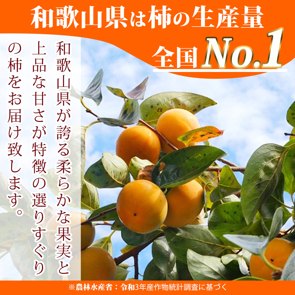 G7113_和歌山秋の味覚 平核無柿（ひらたねなしがき） 3.5kg【家庭用 訳あり】