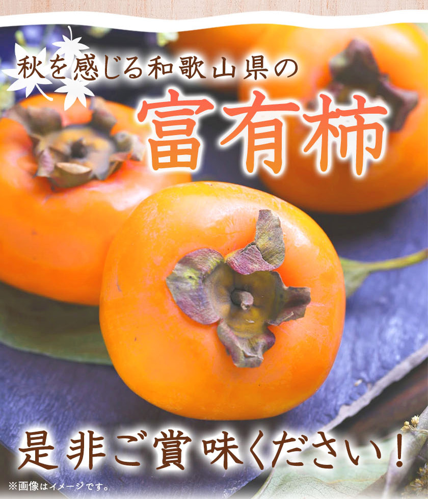 G7111_【2026年先行予約】和歌山秋の味覚 富有柿 約4kg 化粧箱入
