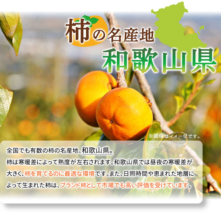 G7112_和歌山秋の味覚 富有柿 3.5kg【家庭用 訳あり】