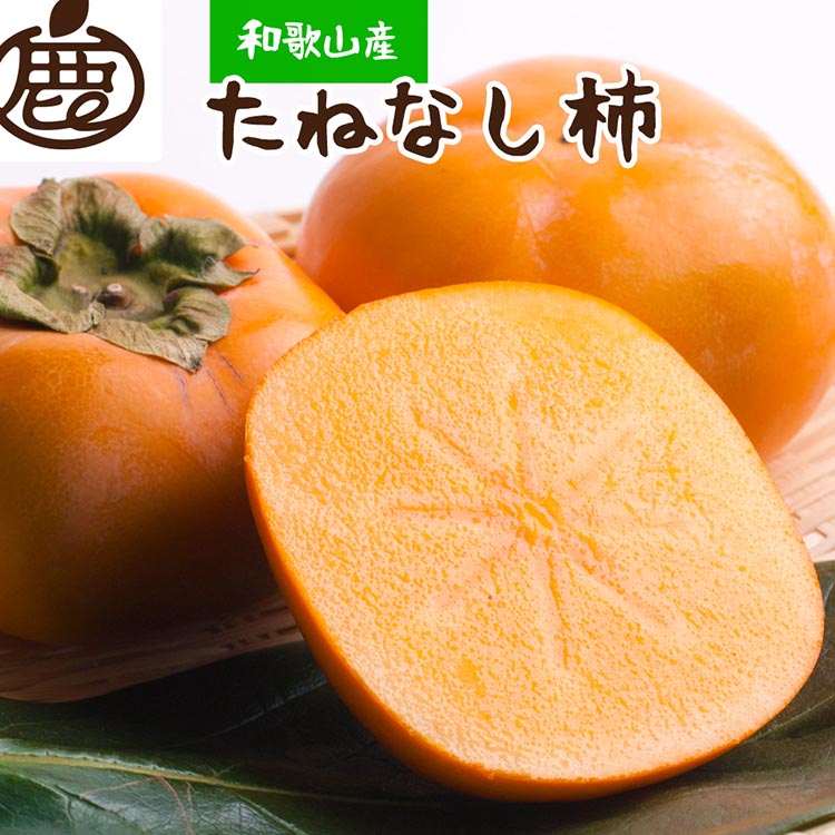 ＜10月より発送＞厳選たねなし柿1.5kg