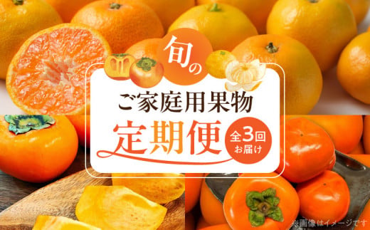 G60-T80_【定期便 全3回】紀州和歌山産旬のご家庭用果物セット（ひらたね・富有柿・みかん）