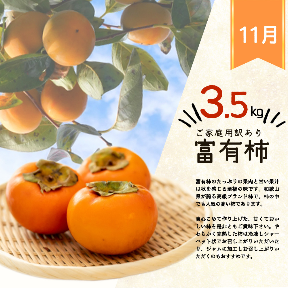 G60-T80_【定期便 全3回】紀州和歌山産旬のご家庭用果物セット（ひらたね・富有柿・みかん）