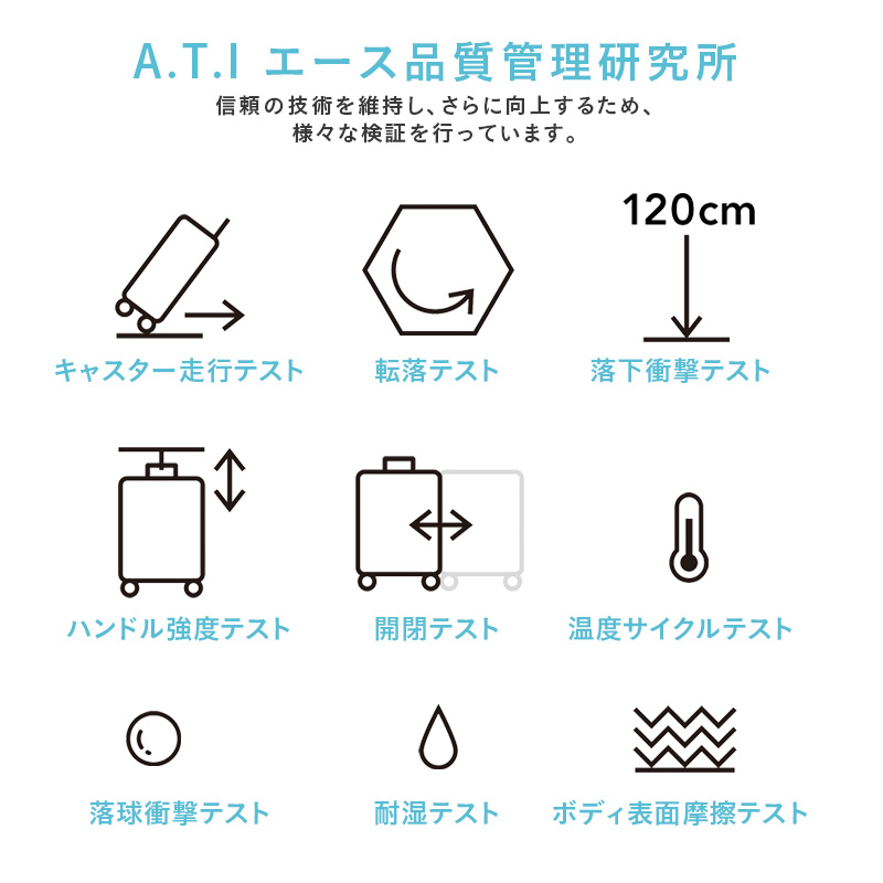 レザー製キャリー用トラベルバッグ 即決 LBC レザーキャリー付きトランク S メンズ レディース 茶