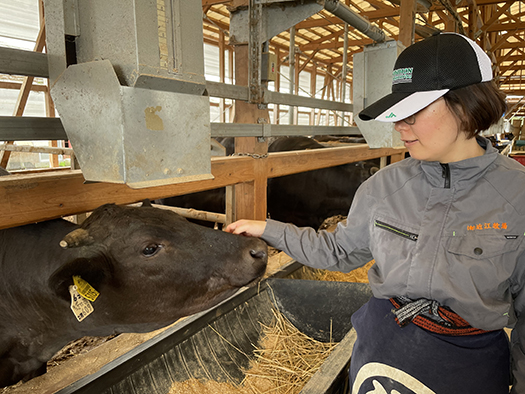 【森村商会】特選近江牛ロースすき焼 800g【L006W】