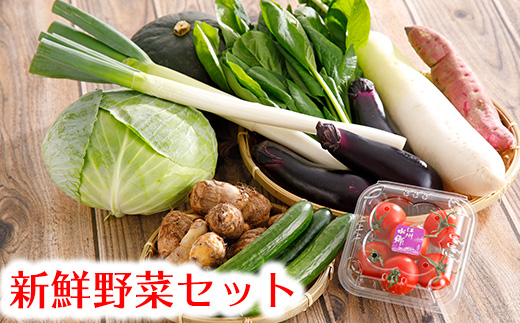 近江野菜詰め合せセット[1.5kg〜2kg][K002U]