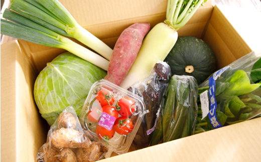 近江野菜詰め合せセット【1.5kg～2kg】【K002U】
