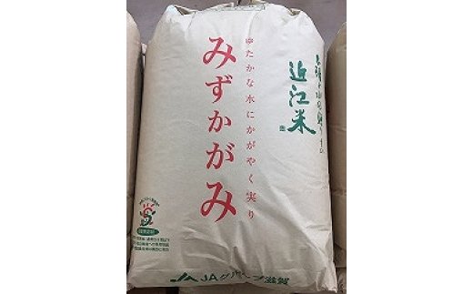 [新米][令和7年産]環境こだわり米「みずかがみ」玄米[30kg×1袋][K073U1]