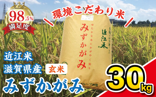 【新米】【令和7年産】環境こだわり米「みずかがみ」玄米【30kg×1袋】【K073W】