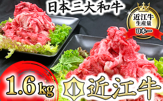 yꌧߍ]szߍ]@؂藎Ƃy1.6kgi800×2pbNjzyK036Wz