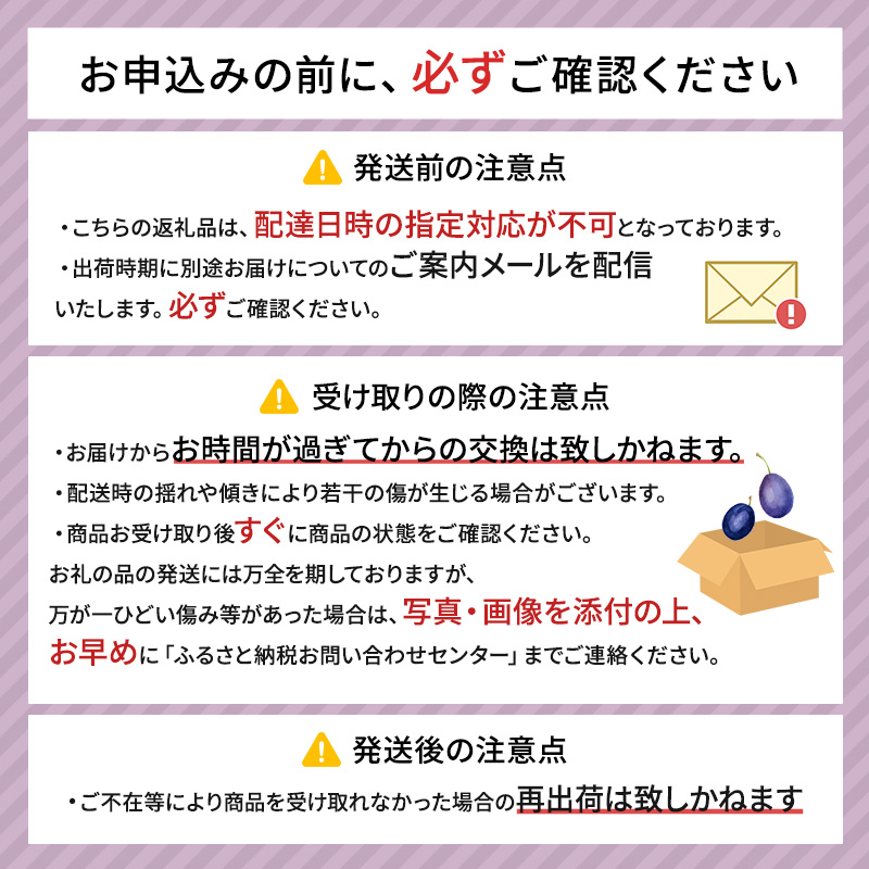 [先行受付/2026年] 仁木町の採れたて「サンプルーン」サイズ混載 2kg（500g×4パック） 北海道 仁木 果物 フルーツ プルーン [フルーツショップ妹尾観光農園]