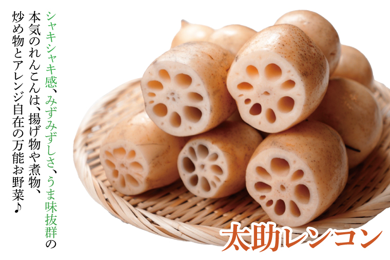 【先行予約】【セット販売】太助レンコン&蓮根肉餃子のおばけん 【2kg&40粒】【野菜 ギョーザ れんこん しゃきしゃき おいしい 食べきり 茨城県 鹿嶋市】（KBU-5）