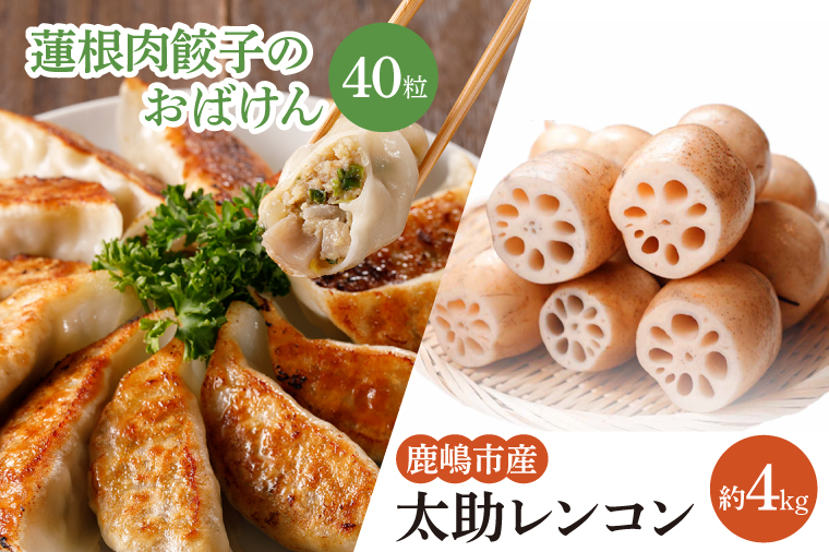 【茨城県鹿嶋市】【先行予約】【セット販売】太助レンコン&蓮根肉餃子のおばけん 【4kg&40粒】【野菜 ギョーザ れんこん しゃきしゃき おいしい 食べきり 茨城県 鹿嶋市】(KBU-6)