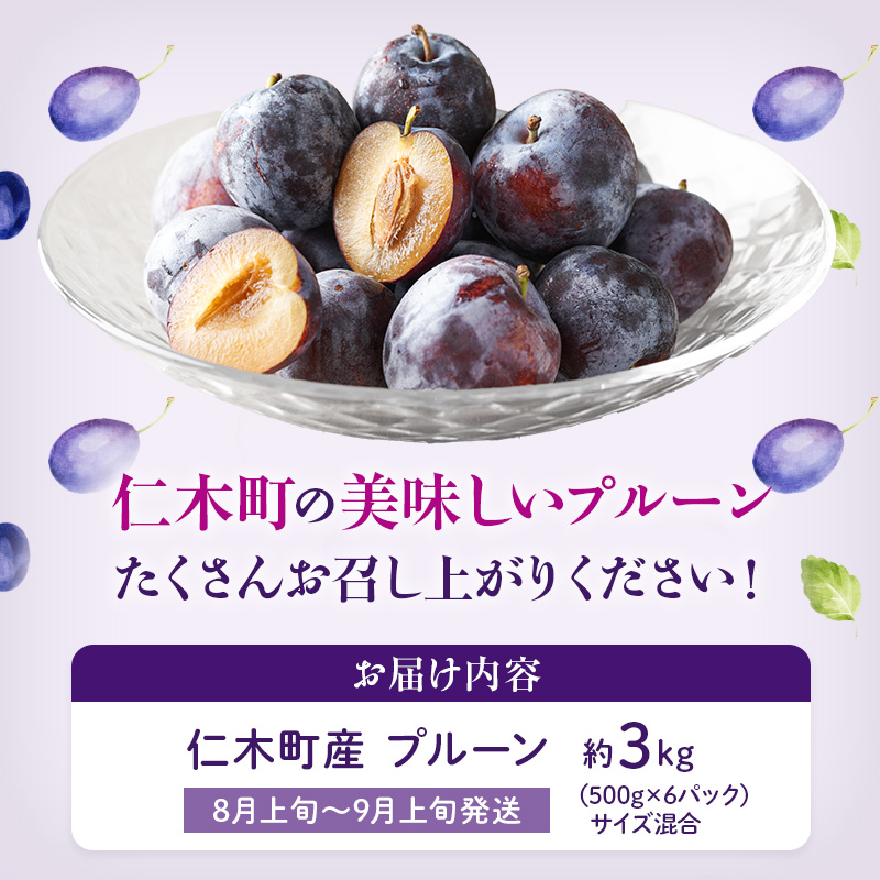 [先行受付] 【8月上旬～9月上旬出荷】北海道 仁木町産 プルーン 約3kg（500g×6パック）サイズ混合 果物類 フルーツ 果物 詰合せ セット [くだもの直売  もり園]