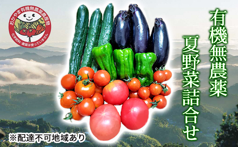 2026年 早期受付 夏野菜 詰め合わせ おかやま 有機無農薬 農産物 野菜 セット 