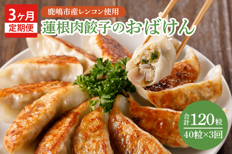【3ヶ月定期便】蓮根肉餃子のおばけん【40粒×3回】【野菜 ギョーザ れんこん しゃきしゃき おいしい ストック 茨城県 鹿嶋市】（KBU-25）