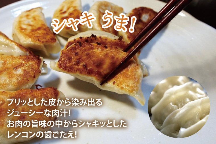 【3ヶ月定期便】蓮根肉餃子のおばけん【40粒×3回】【野菜 ギョーザ れんこん しゃきしゃき おいしい ストック 茨城県 鹿嶋市】（KBU-25）