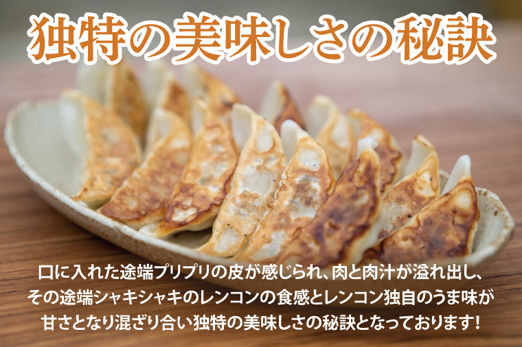 【6ヶ月定期便】蓮根肉餃子のおばけん【40粒×6回】【野菜 ギョーザ れんこん しゃきしゃき おいしい ストック 茨城県 鹿嶋市】（KBU-26）