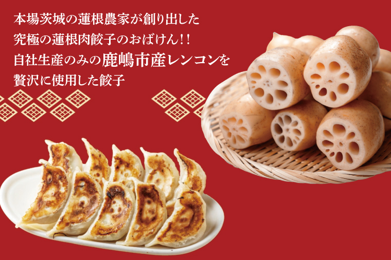 【6ヶ月定期便】蓮根肉餃子のおばけん【40粒×6回】【野菜 ギョーザ れんこん しゃきしゃき おいしい ストック 茨城県 鹿嶋市】（KBU-26）