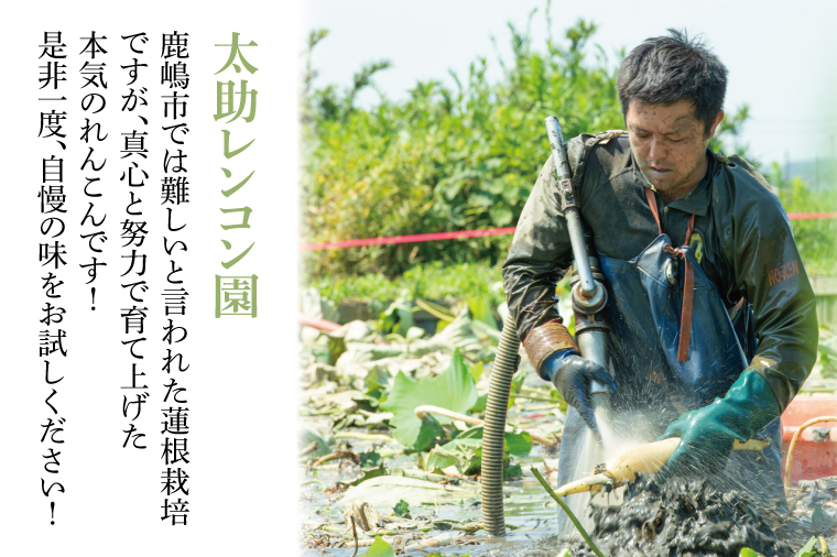 【6ヶ月定期便】蓮根肉餃子のおばけん【40粒×6回】【野菜 ギョーザ れんこん しゃきしゃき おいしい ストック 茨城県 鹿嶋市】（KBU-26）