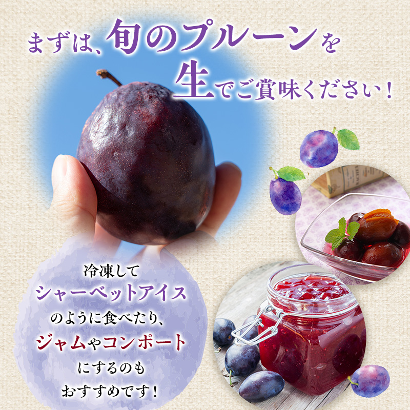 [先行受付] 北海道仁木町産 プルーン 800g ( サンプルーン ) 厳選品 果物 フルーツ 国産 高糖度 ほどよい酸味 北海道産プルーン 国産プルーン [松山商店]