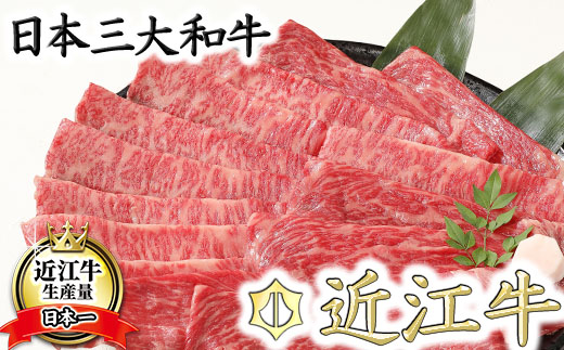 yꌧߍ]szy4ȏzI@ߍ]@ĂEԂԁy500gzyBS01Wz