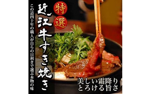 【年内発送】【4等級以上】厳選　近江牛　すき焼き・しゃぶしゃぶ【500g】【BS01W】