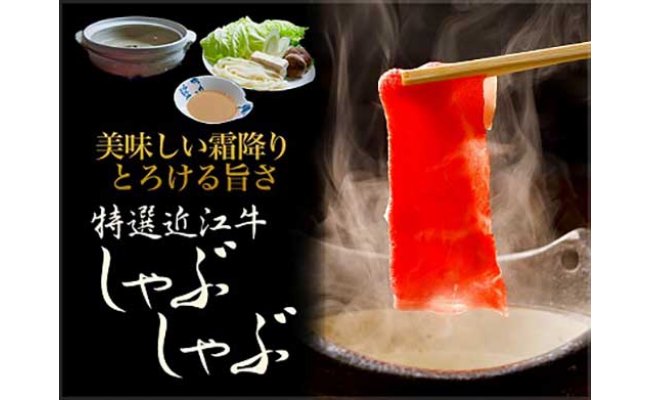 【年内発送】【4等級以上】厳選　近江牛　すき焼き・しゃぶしゃぶ【500g】【BS01W】