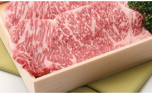 yꌧߍ]szy4ȏzyߍ]@їuzߍ]@T[CXe[Ly360i180×2jzyS024Wz