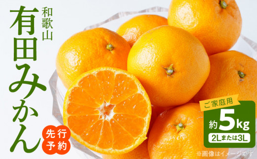 AT6307_【2025年先行予約】ご家庭用 和歌山有田みかん 約5kg (2L