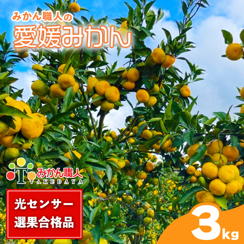 訳あり 愛媛みかん 約3kg 【発送期間：9月中旬～1月中旬】 柑橘 果物 国産 フルーツ 蜜柑 ミックス 不揃い 傷 温州 ビタミン 美味しい みかん職人武田屋 愛媛県 愛南町